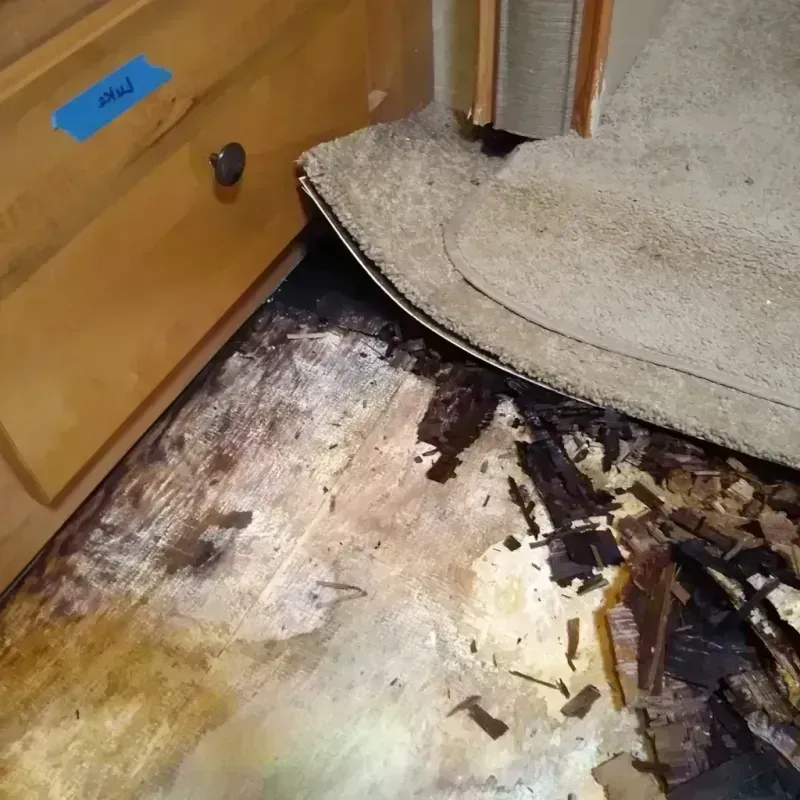 Wood Floor Water Damage in Cole Camp, MO